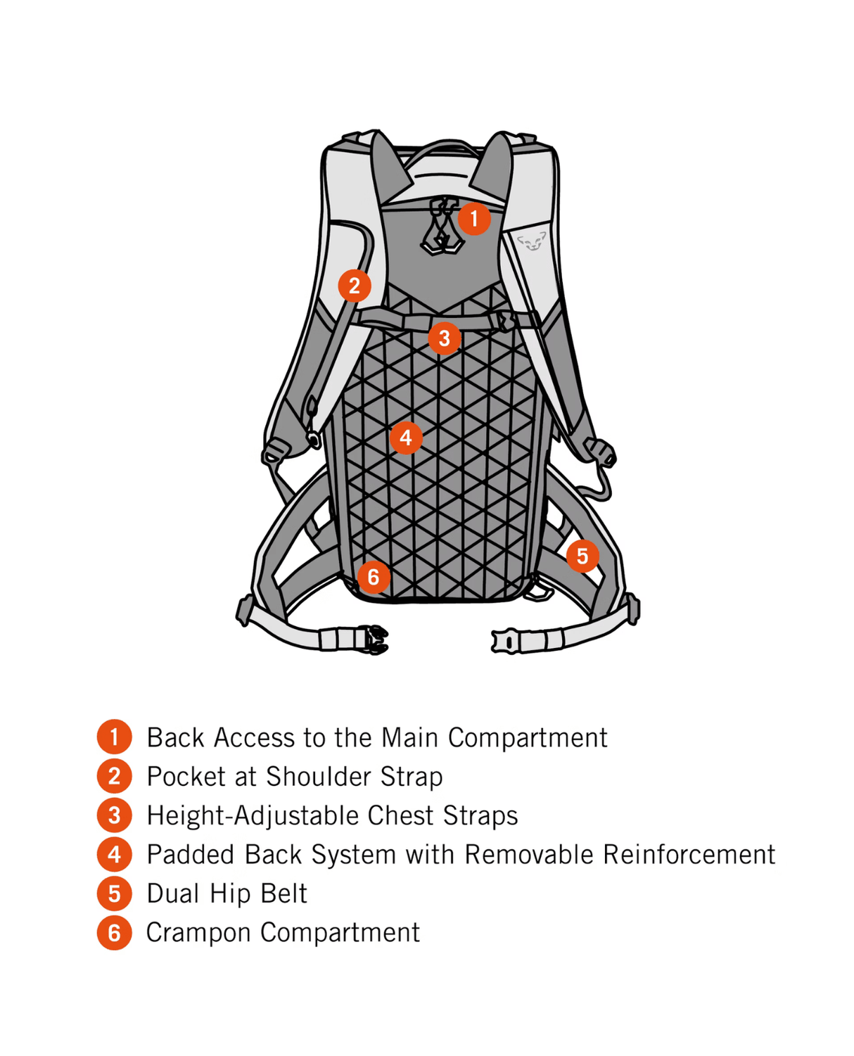 Dynafit Free 34 Backpack - Storm Blue Blueberry - Ryggsäckar - Alpingaraget