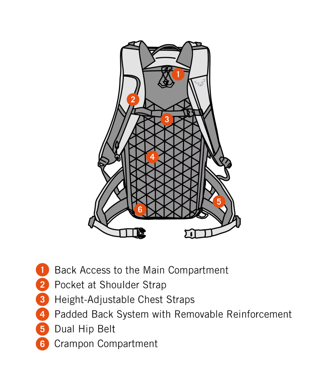 Dynafit Free 34 Backpack - Black Out - Ryggsäckar - Alpingaraget