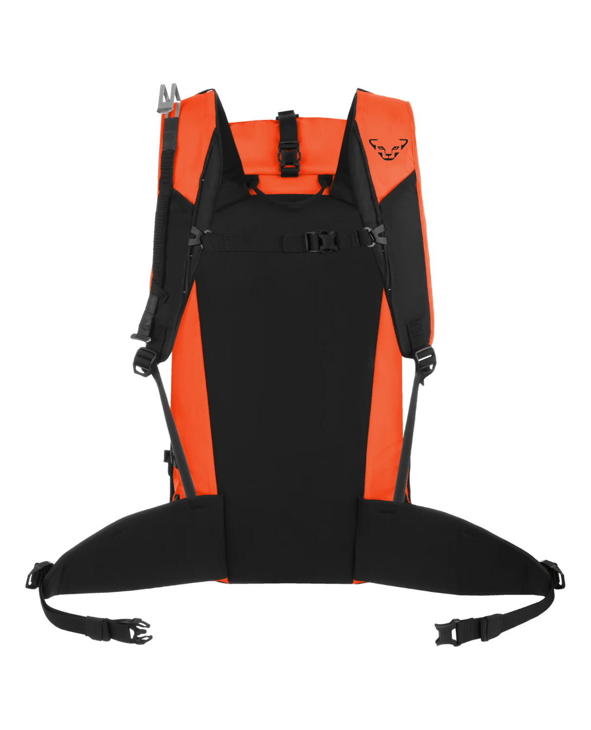 Dynafit Expedition 36 Backpack - Dawn/Black Out - Ryggsäckar - Alpingaraget