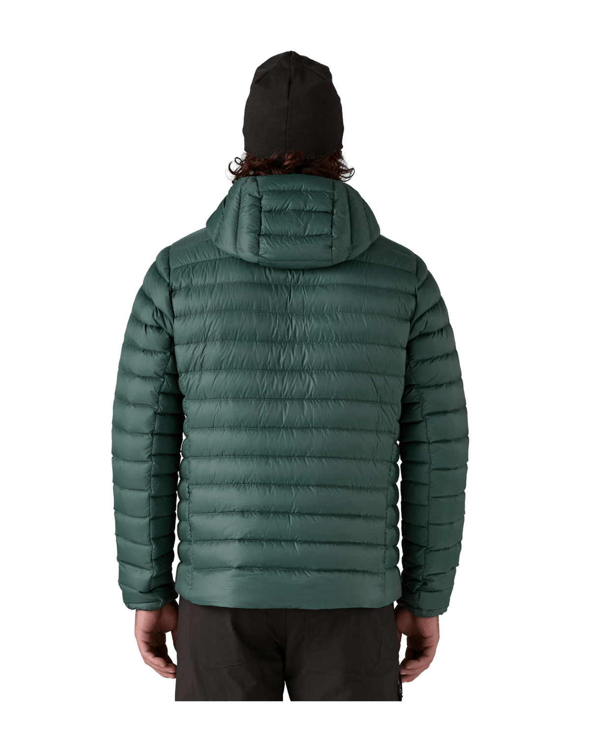 Patagonia Men Down Sweater Hoody - Cascade Green - Mellanlager - Alpingaraget