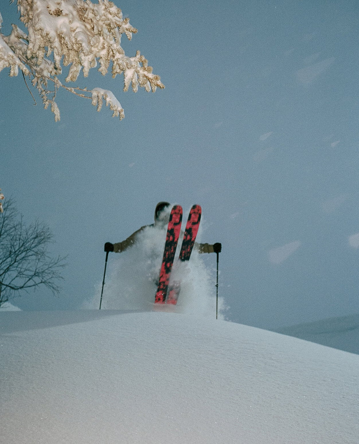 Salomon QST X 24/25 - Alpingaraget