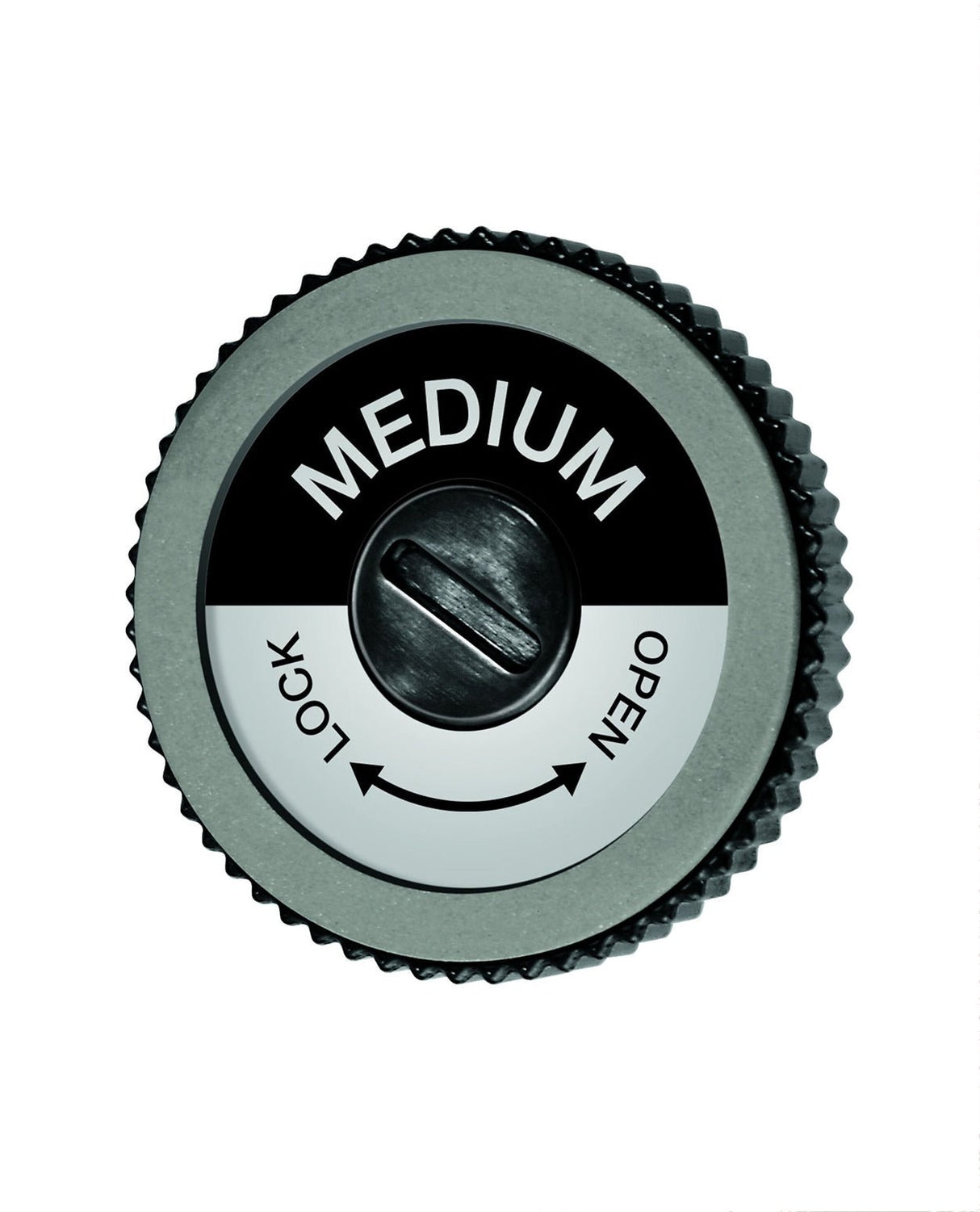 Swix EVO Spare Disc - Slipverktyg - Alpingaraget