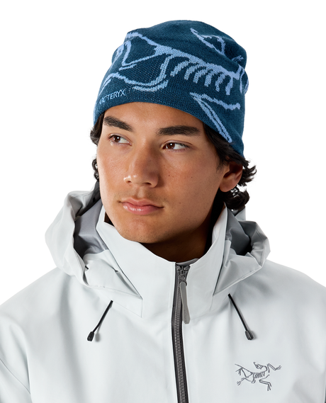Arc'teryx Bird Head Toque - Nightscape / Glacial - Alpingaraget