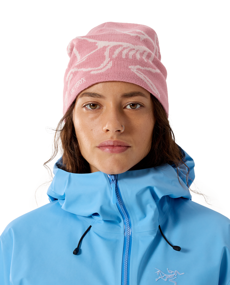 Arc'teryx Bird Head Toque - Bliss / Arctic Silk - Alpingaraget