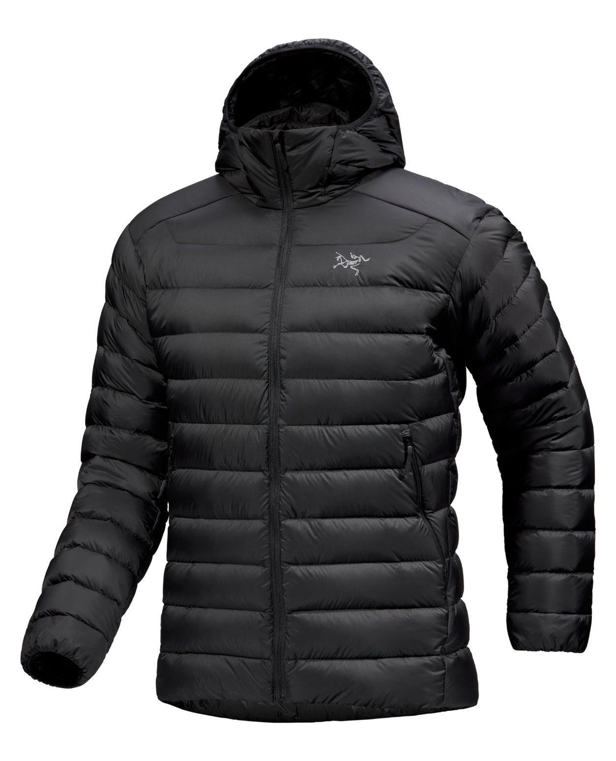 Arc'teryx Cerium Hoody Men - Svart dunjacka för herrar