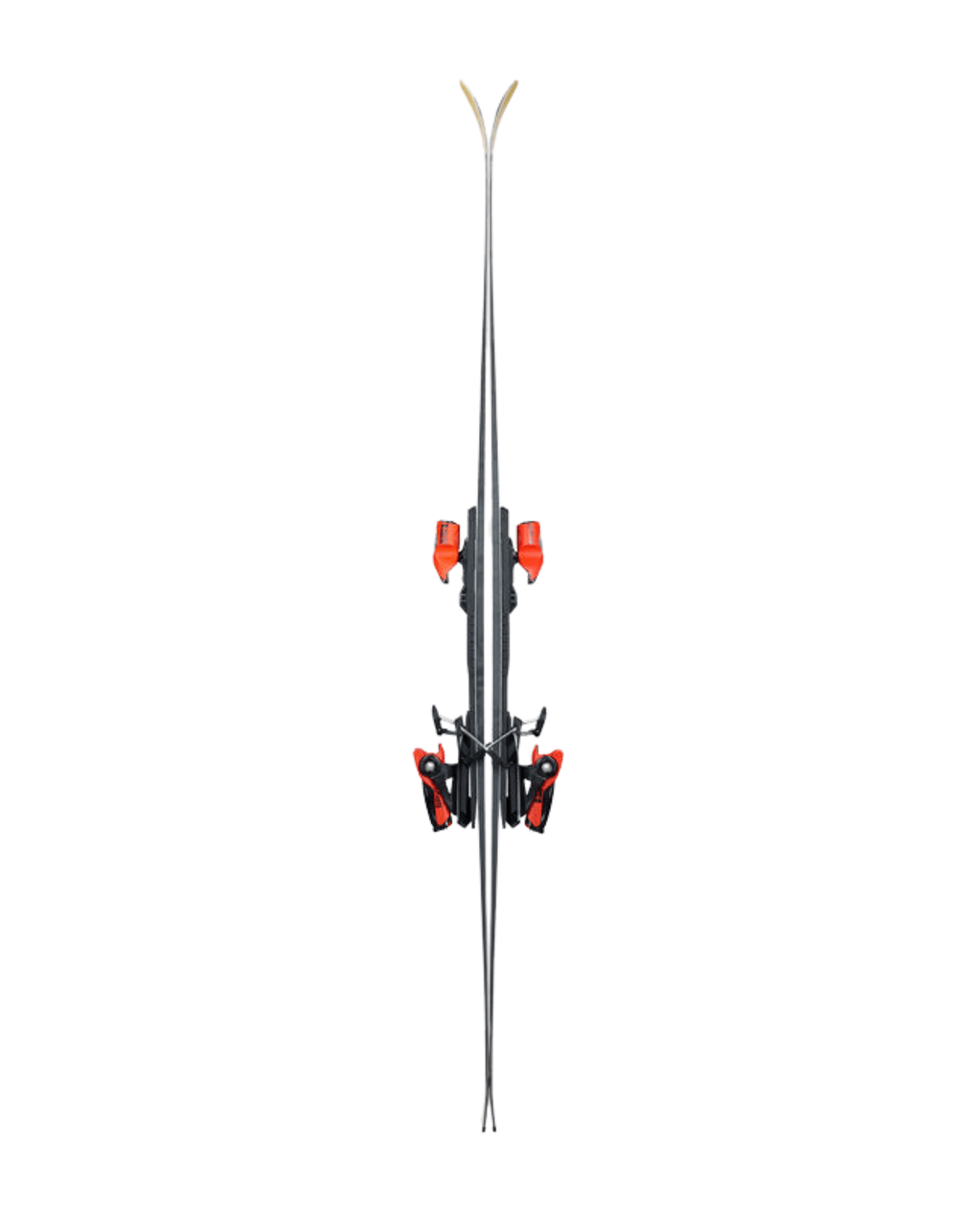 Dynastar Speed Master SL Gold R22 + SPX15 - Pistskidor - Alpingaraget