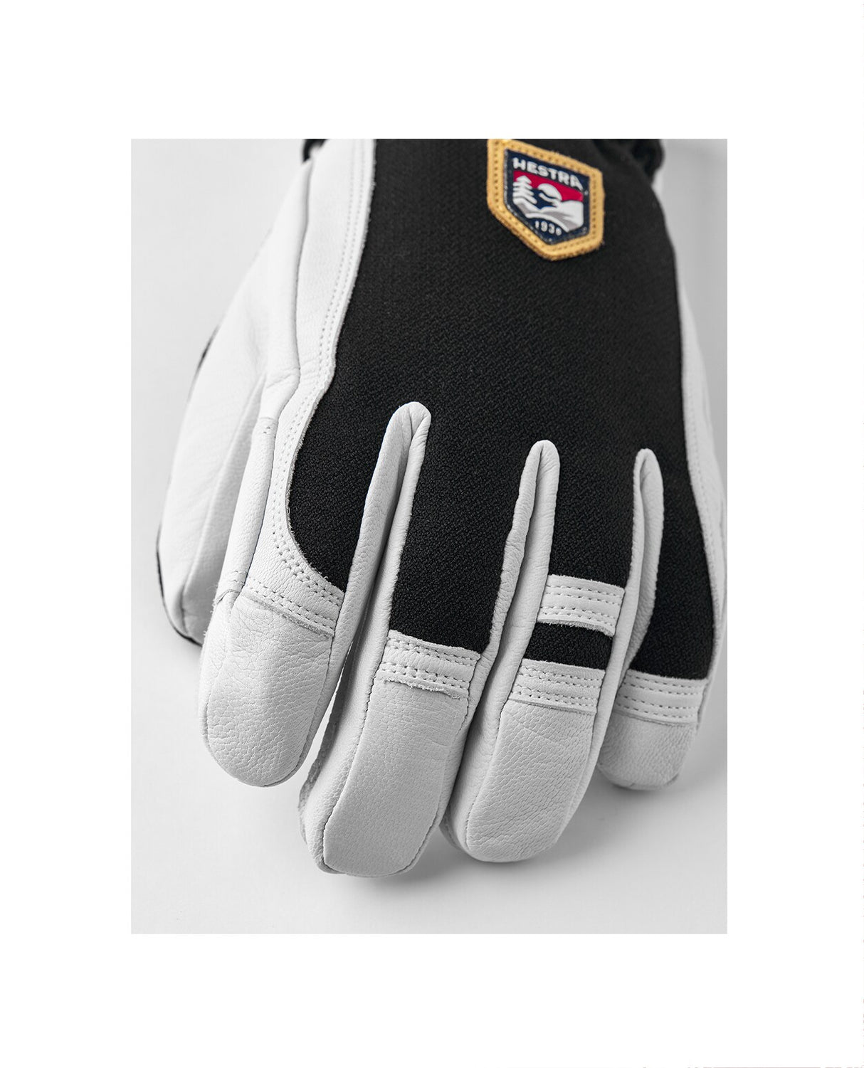 Hestra Army Leather Patrol 5 Finger - Black - Alpingaraget