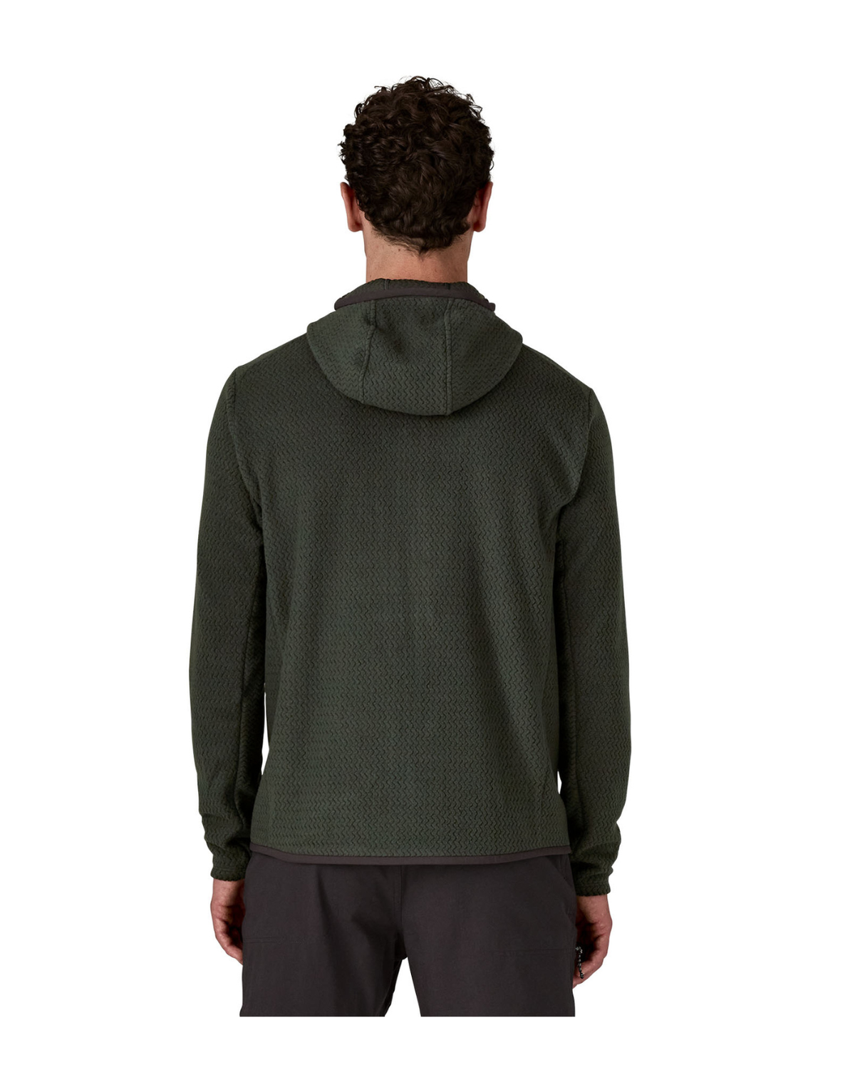 Patagonia Men R1 Air Full-Zip Hoody - Old Growth Green - Alpingaraget