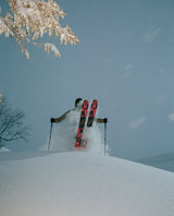 Salomon QST X 24/25 - Alpingaraget